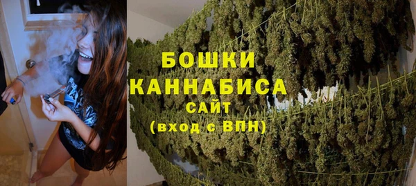стафф Няндома