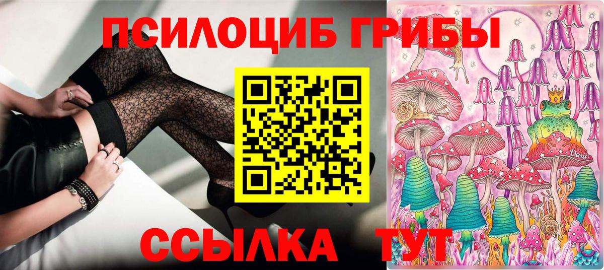 Псилоцибиновые грибы GOLDEN TEACHER  Конаково 