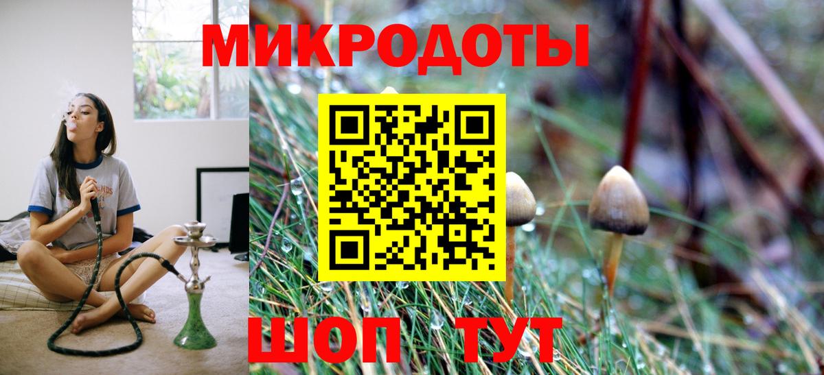Конаково  Псилоцибиновые грибы мицелий  Вход с VPN  Псилоцибиновые грибы ЛСД 