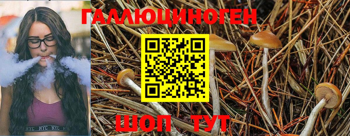Псилоцибиновые грибы ЛСД Конаково
