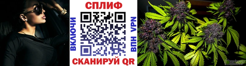 MEGA ТОР  Конаково  МАРИХУАНА ГИДРОПОН 